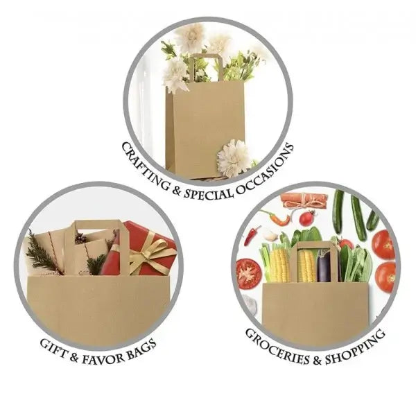Punga hartie, natur, cu maner plat - 25x14x30cm - 250 buc.