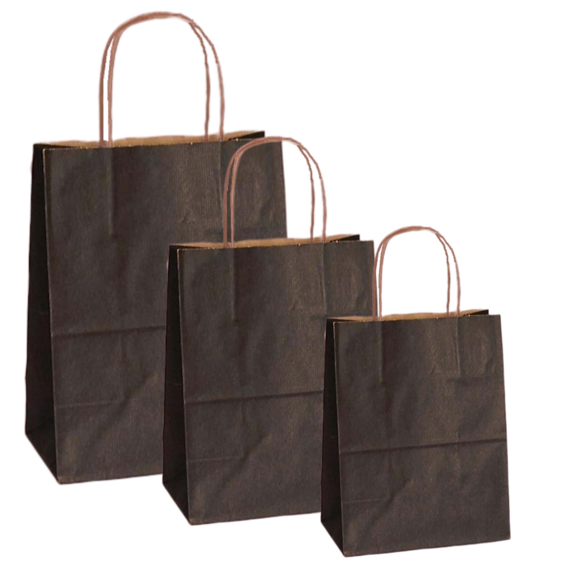 Set de pungi de hârtie negre cu mânere răsucite, 100% reciclabil, ideale pentru retail și evenimente.
